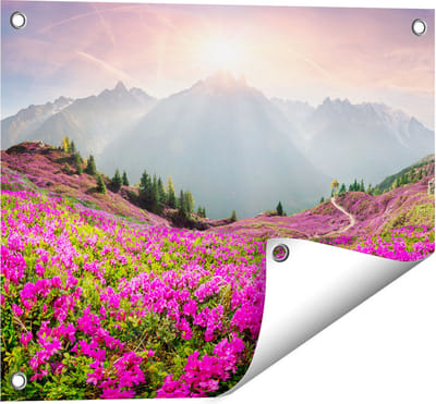 Gards Tuinposter Rhododendron Bloemenveld in de Alpen - 50x40 cm - Tuindoek - Tuindecoratie - Wanddecoratie buiten - Tuinschilderij