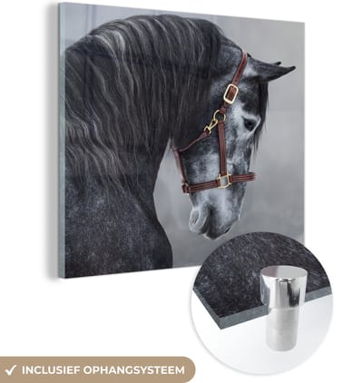 MuchoWow® Glasschilderij 90x90 cm - Schilderij acrylglas - Paard - Grijs - Bruin - Dieren - Rook - Foto op glas - Schilderijen