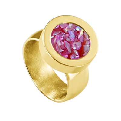 Quiges RVS Schroefsysteem Ring Goudkleurig Glans 16mm met Verwisselbare Roze Vlokjes Schelp 12mm Mini Munt