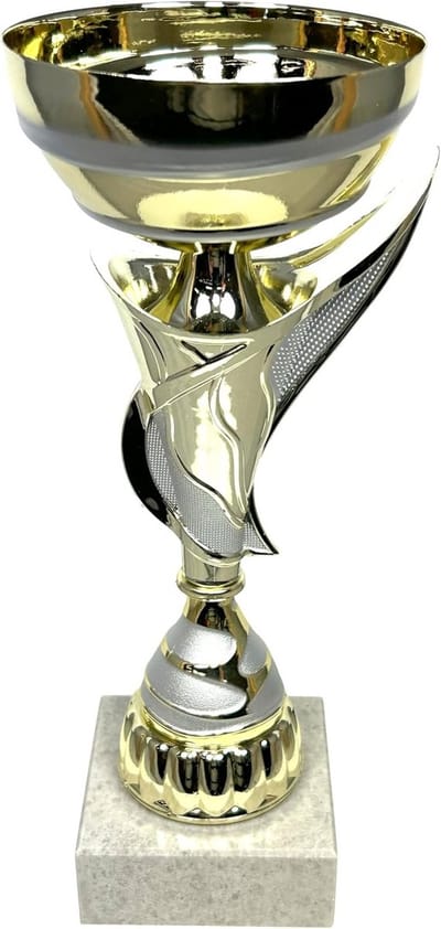 Grote Trofee Beker 25 cm Hoog voor Sportevenementen en Prijzen