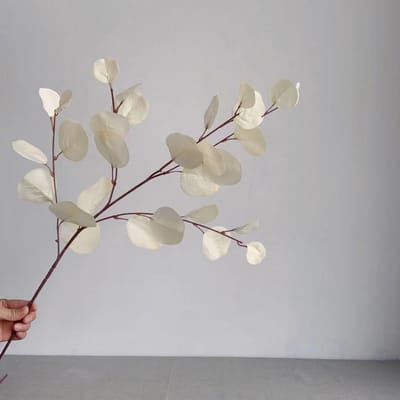 Gesimuleerde Appelbladeren Eucalyptus Kunstbloemtakken Huis Zachte Decoratie Bruiloftzaal Indeling Zijden Bloemstuk wit