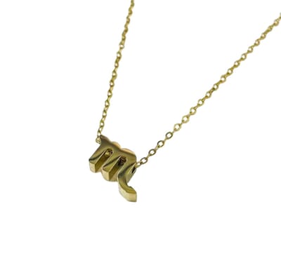 Plux Fashion Schorpioen Ketting - Goud - 2mm/40cm + 5cm Verlengstuk - Sieraden - Sterrenbeeld Ketting - Schorpioen Sterrenbeeld - Stainless Steel - Sieraden Cadeau - Scorpio Necklace - Gouden Ketting Dames - Ketting Met Hanger - Roestvrijstaal
