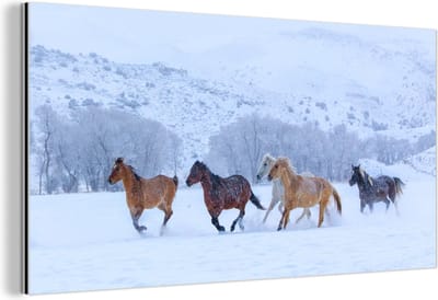 Wanddecoratie Metaal - Aluminium Schilderij Industrieel - Paarden - Sneeuw - Winter - 40x20 cm - Dibond - Foto op aluminium - Industriële muurdecoratie - Voor de woonkamer/slaapkamer