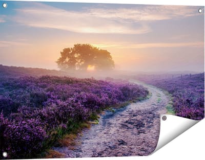 Gards Tuinposter Pad in de Weide van de Veluwe - 90x60 cm - Tuindoek - Tuindecoratie - Wanddecoratie buiten - Tuinschilderij