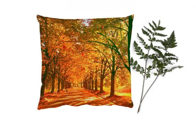 Sierkussens - Kussentjes Woonkamer - 40x40 cm - Bos - Herfst - Seizoenen - Landelijk