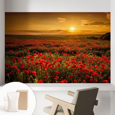 Coloray Behang - Papaverveld Wandbekleding - 104x70 cm - Rood Behang - Voor natuurliefhebbers en liefhebbers van zonsondergangen - Behang Voor de woonkamer, voor de slaapkamer - Vliesbehang Landschappen