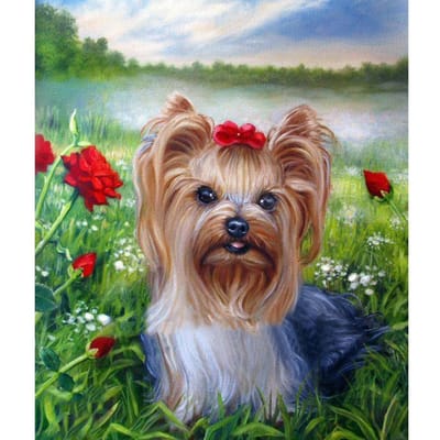 Carré/rond diamant 5D bricolage diamant peinture  chien de compagnie  broderie point de croix diamant mosaïque Full Round (20X30CM)