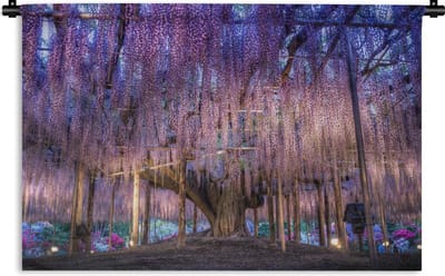 Wandkleed Blauweregen - Blauweregen en een boom Wandkleed katoen 120x80 cm - Wandtapijt met foto
