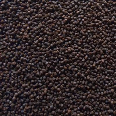 Oswalt Goudviskorrels - 2.5KG - Vissenvoer