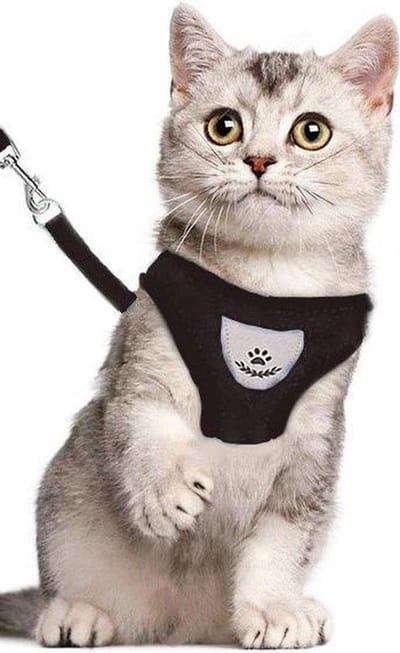 *** Katy`s Zwarte Kattentuigje maat S met looplijn - Kleine Hond - Kattenharnas - Honden Harnas - Kattenriem - Uitlaten - van Heble® ***