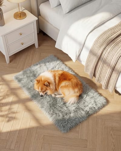 Dailygoods- Vloerkleed 50 x 80 cm - Antislip - Superzacht - Pluizendvrij - Duurzaam - Premium vezelconstructie - Tapijt