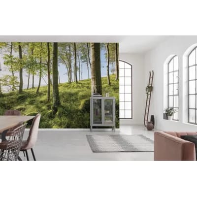 Fotobehang Zauberhaftes Buchenspektakel - Meerkleurig - 2,80m X 450cm