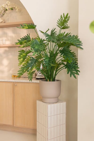 Philodendron Kunstplant 100cm | Kunstplant voor Binnen | Kunstplant 1 meter | Philodendron Xanadu Kunstplant | Nep Philodendron