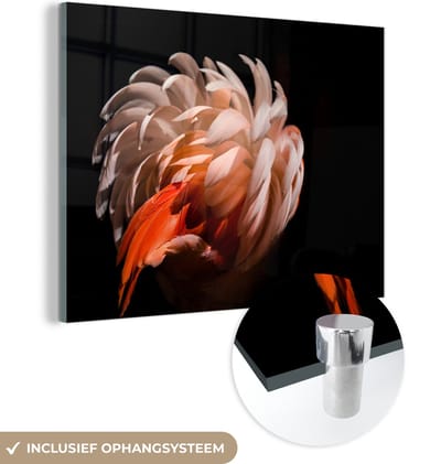 MuchoWow® Glasschilderij 160x120 cm - Schilderij acrylglas - Flamingo - Veren - Licht - Macro - Foto op glas - Schilderijen