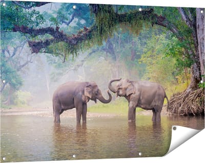 Gards Tuinposter Twee Olifanten in het Water - 120x80 cm - Tuindoek - Tuindecoratie - Wanddecoratie buiten - Tuinschilderij