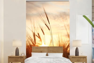 Behang - Fotobehang Riet - Gras - Zonsondergang - Natuur - Horizon - Breedte 155 cm x hoogte 240 cm