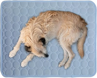 Honden Koelmat - Koelkleed Hond - Hond Koel Houden - Zelfkoelend Zonder Stroom - 100x70cm - Lichtblauw