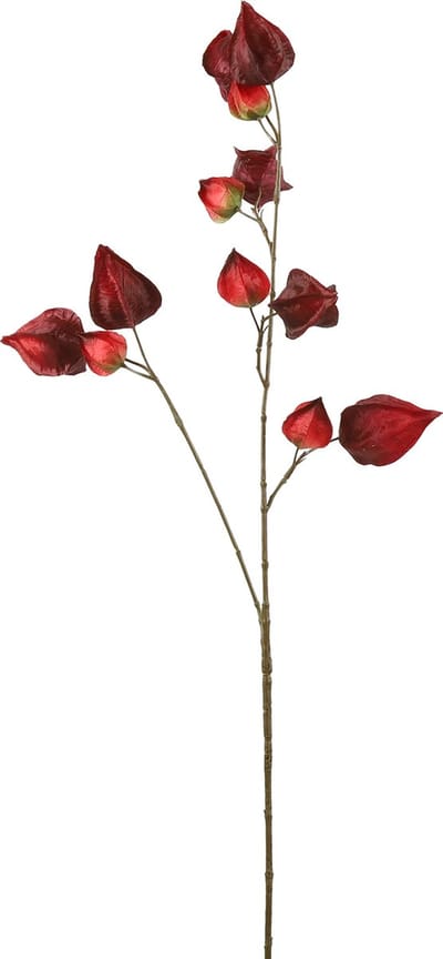 Countryfield Kunstbloem Physalis bordeaux 95cm.