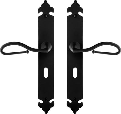 Deurkruk op schild - Smeedijzer zwart - Gietijzer - GPF - GPF6260.60 smeedijzer zwarte Deurklink Lumi op BB56, 291x41x4mm
