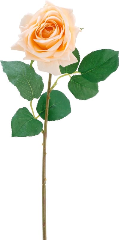 Easyplants | Kunstbloem Crystal touch moisturizing roos Real Touch champagne 43 cm | Zijde | Nepbloemen | champagne | Onderhoudsvrij | Kant-en-klaar