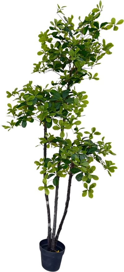 Kunstmatige Olijfboom 180 cm - Voor Thuiskantoor & Woondecor - Kunstzijde Boom met Natuurlijke Houten Stam, UV-Bestendig in Nep Pot - Groen-180cm