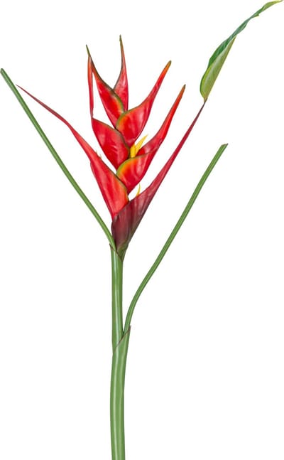 Easyplants | Kunstbloem Heliconia 90 cm rood | Zijde | Nepbloemen | rood | Onderhoudsvrij | Kant-en-klaar