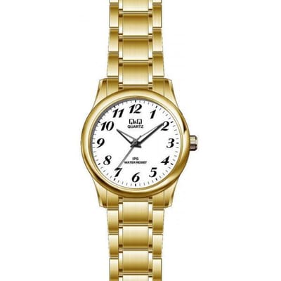 Q&Q heren horloge C210J802
