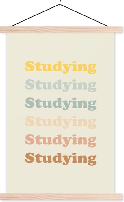 Posterhanger incl. Poster 40x60 cm - Schoolplaat - Quotes - Studeren - Student - Textielposter - Blanke latten