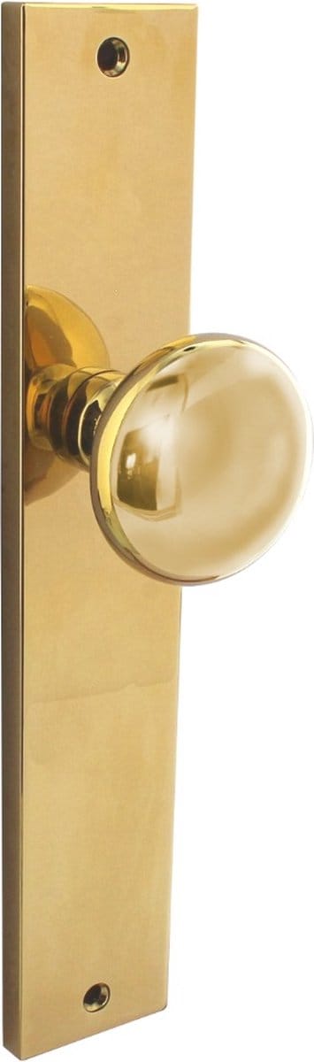 Intersteel Knopschild 245x45 mm blind PVD messingkleur