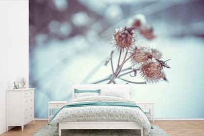 Behang - Fotobehang Planten - Winter - Sneeuw - Natuur - Breedte 450 cm x hoogte 300 cm