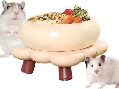 Voerbak Kleine Dieren - Voerbakje Hamster - Hygiënisch Eten - Spatwaterdicht Ontwerp - 17x17x11.5cm - Wit
