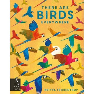 There Are Birds Everywhere - Britta Teckentrup Everywhere - Camilla De La Bedoyere