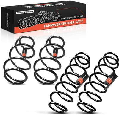 Frankberg 4x Veer Vooras Achteras voor Renault Laguna II Grandtour