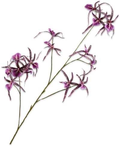 Silk-ka Kunstbloem-Zijden Bloem Orchidee Tak Paars-Roze 108 cm