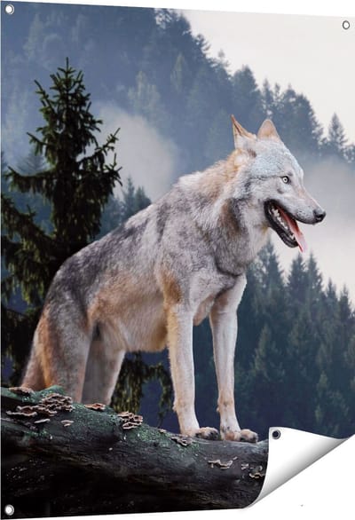 Gards Tuinposter Grijze Wolf in de Bossen - 80x100 cm - Tuindoek - Tuindecoratie - Wanddecoratie buiten - Tuinschilderij