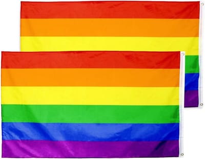 Pride Vlaggen Set van 2 met Genaaide Strepen, Regenboogvlaggen 90 x 150 cm, UV- en Vlekbestendig voor Inclusiviteit en Gelijkheid