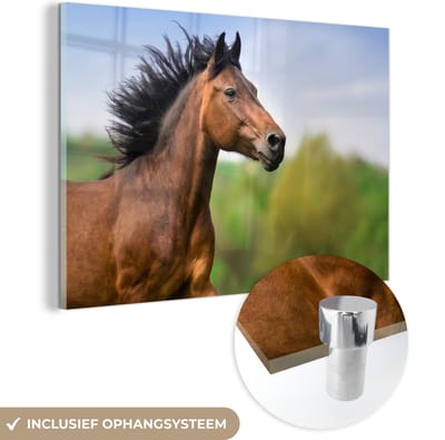 MuchoWow® Glasschilderij 60x40 cm - Schilderij acrylglas - Paard - Dier - Manen - Bruin - Foto op glas - Schilderijen