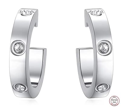 Soraro Dames Oorbel | Oorbellen | Staal | Cadeautje voor vrouw | Zilverkleurig