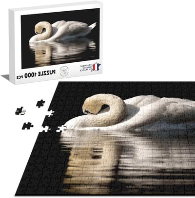 Puzzel 1000 Stukjes - Legpuzzel Jigsaw - Ontspannen Tijdverdrijf - Gedrukt in Frankrijk - 68 x 48 cm - Natuurlijk