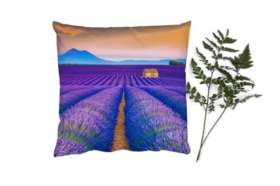 Sierkussens - Kussentjes Woonkamer - 40x40 cm - Lavendel - Paars - Bloemen