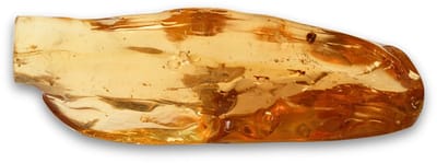 Copal gepolijst nr.03