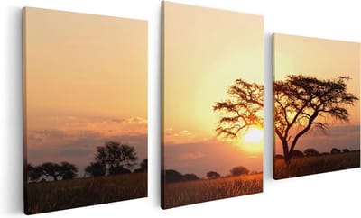Artaza Canvas Schilderij Drieluik Zonsondergang Achter Een Acacia Boom - 120x60 - Foto Op Canvas - Canvas Print