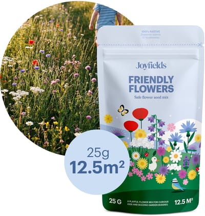 Joyfields Friendly Flowers - Speelweidemengsel - 25 g (12,5 m²) - Speelse wilde bloemenmix - Veilig en kindvriendelijk - Kleurrijke bloemenweide