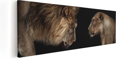 Artaza Canvas Schilderij Leeuwenfamilie - 60x20 cm - Wanddecoratie Dierenkop - Muurdecoratie Woonkamer - Kamer Accessoires