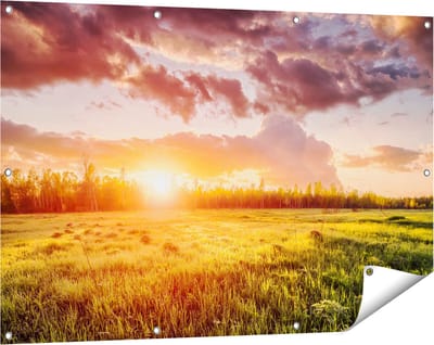 Gards Tuinposter Zonsopkomst in het Veld - 120x80 cm - Tuindoek - Tuindecoratie - Wanddecoratie buiten - Tuinschilderij