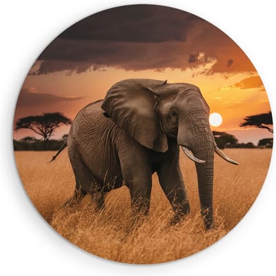Saammp Muurcirkel Hout - olifant in de Natuur - Afrika - Dieren - Ø 90 - Wandcirkel - Wanddecoratie Cirkel - muurdecoratie Woonkamer - Slaapkamer decoratie - Rond Schilderij