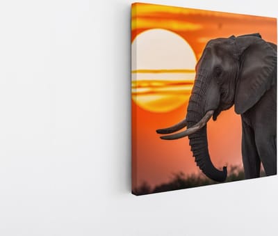 Saammp Canvas Schilderij - Olifanten met afrikaanse zonsondergang - Dieren - 20x20 - Foto op canvas - Wanddecoratie - muurdecoratie Woonkamer - Slaapkamer decoratie - Canvas Print