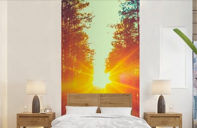 Behang - Fotobehang Zonsondergang - Bomen - Bos - Natuur - Breedte 120 cm x hoogte 240 cm