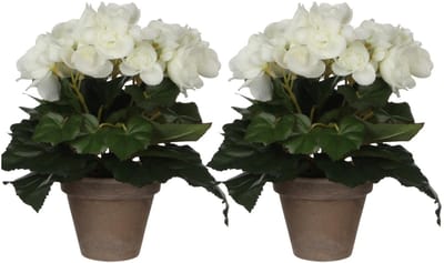 Mica Decoration Kunstplant - 2x - begonia - wit - in pot - 25 cm - nepplanten - kunstbloemen
