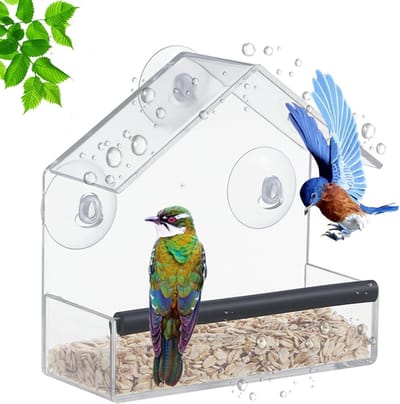 Transparante Vogelvoederhuis met Zuignappen - Ideaal voor Balkon en Raam, Geschikt voor Wilde Vogels, 15 x 15 x 6 cm